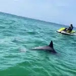 jet ski rental panama city beach